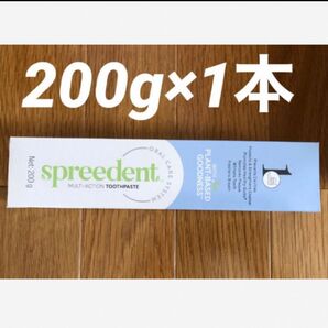 【NEW】アムウェイ スプリーデント 歯磨き粉 200g×1本セット