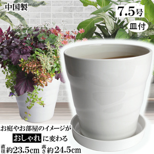 植木鉢 おしゃれ 安い 陶器 サイズ 23cm MBC24 7.5号 ホワイト 受皿付 室内 屋外 白 色