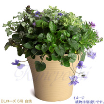 植木鉢 おしゃれ 安い 陶器 サイズ 20cm DLローズ 6号 白焼 受皿付 室内 屋外 白 色_画像9