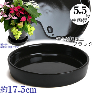 植木鉢用受皿 おしゃれ 安い 陶器 サイズ 17.5cm KN1171 5.5号 ブラック 室内 屋外 黒 色