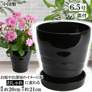 植木鉢 おしゃれ 安い 陶器 サイズ 20cm MBC19 6.5号 ブラック 受皿付 室内 屋外 黒 色