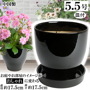 植木鉢 おしゃれ 安い 陶器 サイズ 17cm MGI-18 5.5号 ブラック 受皿付 室内 屋外 黒 色