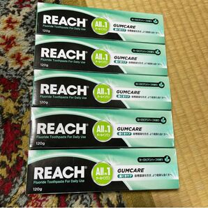 新品REACHリーチオールインワン歯磨き粉　歯ぐきケア　120g x 5本