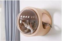 人気新品！ 猫 キャットウォーク キャットステップ ベッド ハウス 壁付け 天然木 宇宙_画像5
