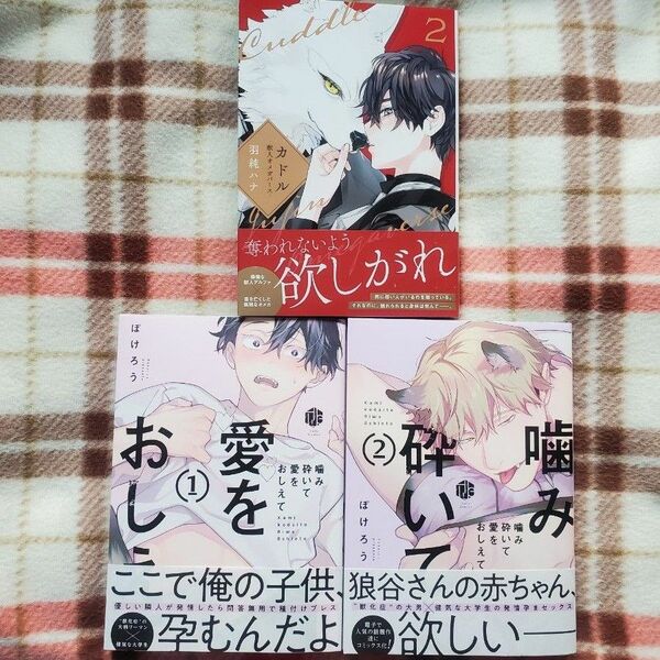 【新刊】BLコミック3冊セット 羽純ハナ、ぽけろう