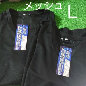 Ｌ メンズ 半袖 V首と丸首 Tシャツ 2枚