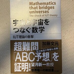 宇宙と宇宙をつなぐ数学　ＩＵＴ理論の衝撃 加藤文元／著