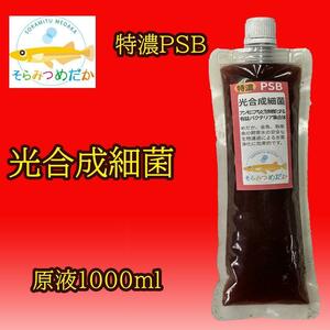 そらみつめだか 特濃 PSB光合成細菌 1000ml関連:めだか金魚免疫強化水質浄化クロレラ