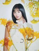 乃木坂46 遠藤さくら 梅澤美波 フォーシーズンズ 春夏秋冬 カード_画像1