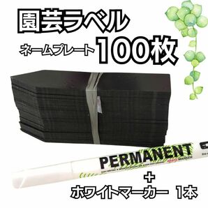 多肉植物 園芸ラベル ネームプレート 100枚 ブラック ホワイトマーカー付き まとめ売り 植物 名前 ネームプレート