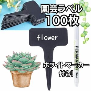 園芸ラベル T字型 プレート 100枚 ホワイトマーカー付 ブラック 名札 名前 ネームプレート まとめ売り 植物 名前 お買い得