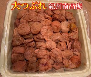 紀州南高梅 大つぶれ 梅と天日塩だけで漬けた梅干し 3kg 白干し 梅肉用 業務用 訳あり梅 昔ながらの梅干し