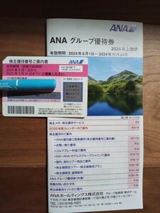 最新　ANA 全日空　株主優待券　1枚　グループ優待券　2025.5.31まで