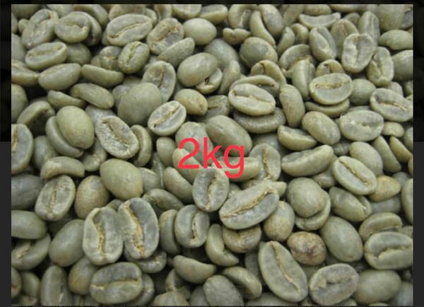 エチオピア、ブラジル　コーヒー生豆セット