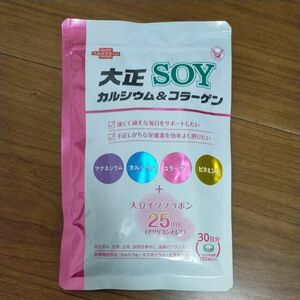 大正製薬 大正SOY カルシウム コラーゲン