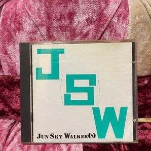 JUN SKY WALKER(S) / J(S)W