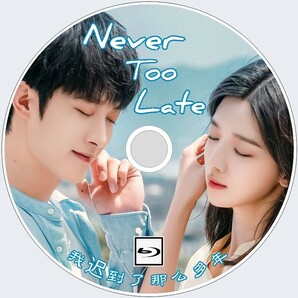 Never Too Late（正常字幕）「」中国ドラマ「」 シャオ・ユー、ヴィンセント・カオ Blu-rayの画像1