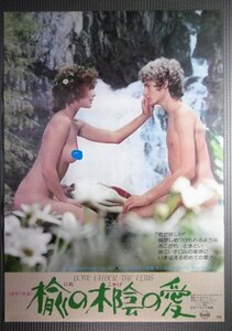 ★「楡の木陰の愛」映画ポスター　マークレスター　1976年