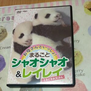 パンダ DVD