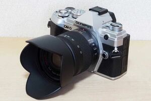 OLYMPUS OM-D E-M5 Mark III ボディ シルバー　Panasonic 14-45mmレンズのセット　良品