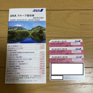 全日空　ANA　株主優待券　3枚　優待冊子　セット　有効期間　2024年6月1日〜2025年5月31日