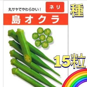 【15粒】島オクラ　丸さやで柔らかな品種♪　沖縄固定種　整腸効果　ビタミンＣ豊富　送料73円〜