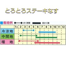 ラスト２点◆セール◆【６粒】とろとろステーキなす　１果500g以上の大型品種♪　トロトロ絶品の味わいをお楽しみください♪　送料73円〜_画像2