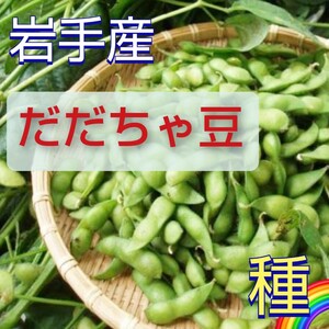 【30粒】岩手産『だだちゃ豆』　種播後90〜95日収穫目安品種　農家さんから購入した種です♪　栽培期間中農薬不使用　送料73円〜