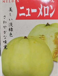 【７粒】めろん『ニューメロン』耐暑性◎　耐病性◎　多収穫　歯ざわり抜群♪　送料73円〜