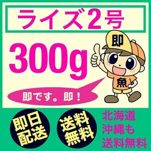 小分けパック対応 ライズ2号 300g入り 送料無料 メダカの餌 稚魚の餌