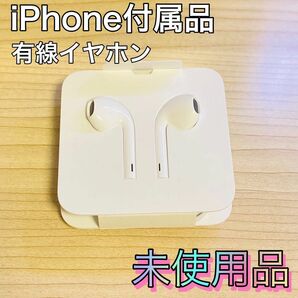 iPhone付属品　純正イヤホン　有線　変換ケーブル　2セット　カナル型　【国内正規品】