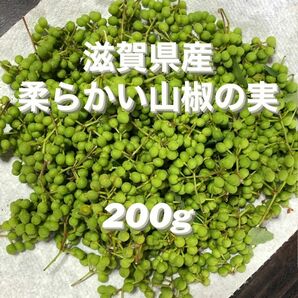 滋賀県産　無農薬の山椒の実　200g