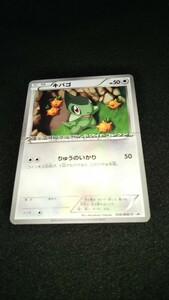 ポケモン☆カード☆キバゴ☆プロモ☆006/BW-P☆ブラックコレクションホワイトコレクション