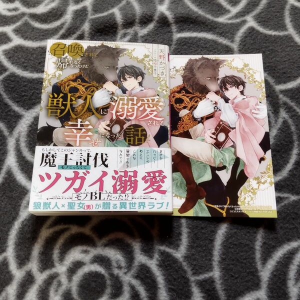 　BL小説４冊 召喚されて帰れなくなったけど獣人に溺愛されて幸せになった話　天才魔術師による不器用…　狼人は神獣…　猫になる魔法…