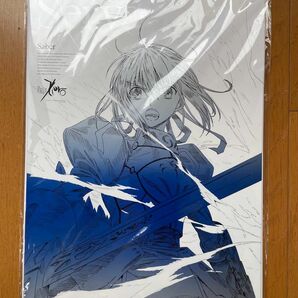 Fate/Zero キャラクター別描き下ろしB3ポスター14種セット Blu-rayボックス予約特典