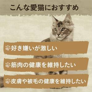 Nutro ニュートロ キャット ワイルド レシピ アダルト チキン 成猫用 2kg キャットフード【グレインフリー/グルテンフリの画像5