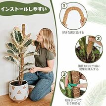 T4U 園芸支柱 64CM モンステラ ココナッツ支柱 観葉植物 つる植物 ガーデニング支柱 維持水分 養分維持 農業用 園芸_画像3