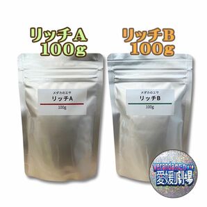 科学飼料研究所 リッチA リッチB 各100g2点セット メダカのエサ