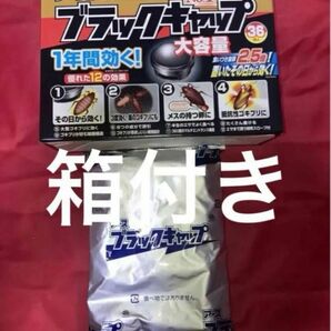 箱付き　　食いつき抜群2.5倍タイプ　　アース　ブラックキャップ12個　　　ゴキブリ対策