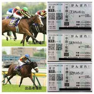 2024年優駿牝馬(オークス)　現地単複応援馬券　上位3頭セット　チェルヴィニア、ステレンボッシュ、ライトバック