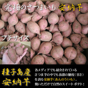 Вакеари Танэгасима Анно Картофель 3S Petit Размер 5 кг Без пестицидов Без химических удобрений