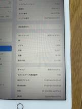 Apple iPad Air 2 ゴールド Cellular 16GB_画像4