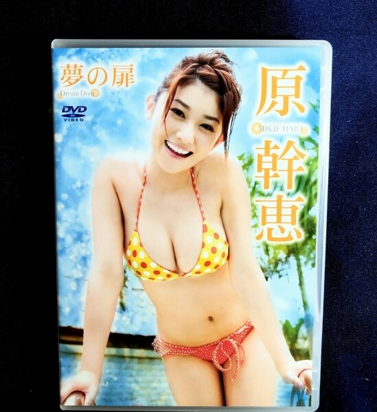 ☆原幹恵 中古DVD『夢の扉』グラビアアイドル タレント モデル 女優 はらみきえ