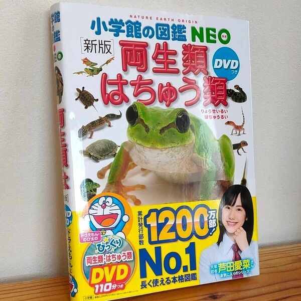 小学館の図鑑 NEO 両生類 はちゅう類 DVDなし 