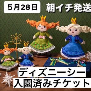 ディズニーシー　5/28 5月28日　入園済み　オンラインショッピング用　チケット