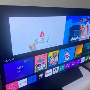 LG OLED48CXPJA LG48インチ液晶テレビ　