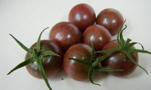 即決☆自家採種　黒紫色のミニトマトの種　30粒　200円