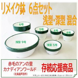 リメイク鉢 6点セット 白×グリーン 浅深混合 4号～9号 植木鉢 駄鉢 ガーデニング 自然 花