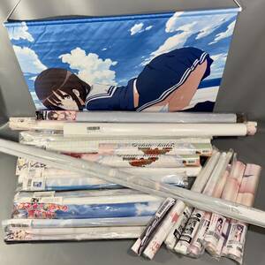 .. not she. .... tapestry & poster large amount 27 point set /..kano/ Kato . other / unused * unopened * storage goods / [2 mouth ]