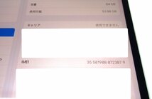 【中古良品/動作品】 Apple iPad Pro A1709 10.5インチ　au Wi-Fi + Cellular 64GB 利用制限○　シルバー アップル_画像5